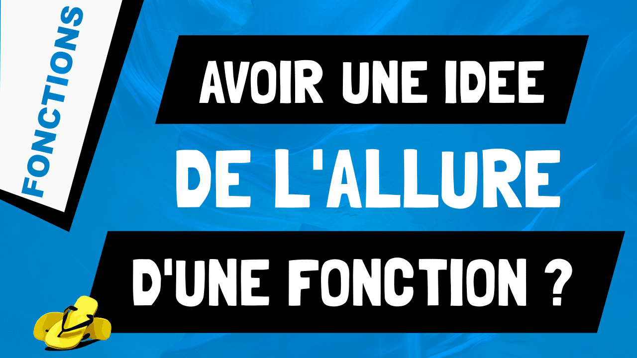 Comment Tracer Une Fonction Quelconque Pour Avoir Une Idee De Son Allure Les Maths En Tongs